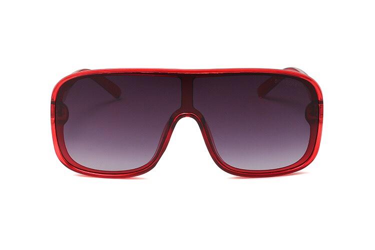 5 Color Women's Sunglasses—3619